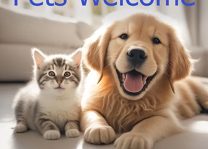 Bellavista-spa Jacuzzi Sauna Pool アパート Bozza